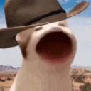 popcatCowboy