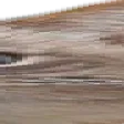 widesteresterest5