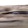 widesteresterest4