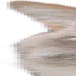 widesteresterest1 widesteresterest1