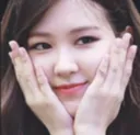 roseCute