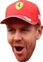 VettelPog