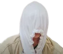FelixHide