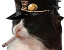 Jotaro_Cat Discord Emoji