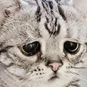 sadboi