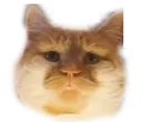huh