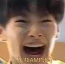 screamingjeongin