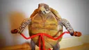 BikerTortoise