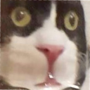 whot
