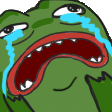 zpepe_Evilcry