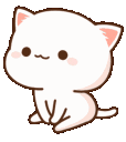waiting_cat