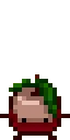 Kiwi_Frontflip