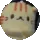 nata