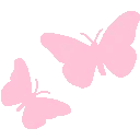fraud_butterflies6