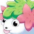 whomDerp