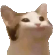 PauseCat