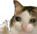 Catsad