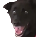 WHAAAAAAA Discord emoji