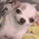 hey_you