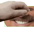 petppfart