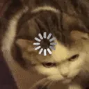 cat_load