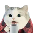 catcoffee