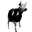 Dancingcow DANCINGCOW Discord Emoji