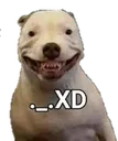 perroXD_fn