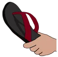 z_chappal