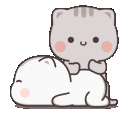 cat_massage Discord Emoji