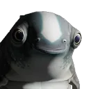 cuddlefishpop