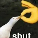 shut