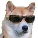 cool_shiba Discord emoji