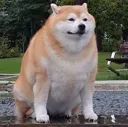 sadshiba
