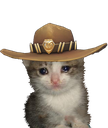 cowboy_cat Discord emoji