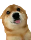 hehe2 hehe2