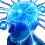 hahabigbrain