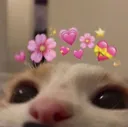 cathearts