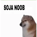 sojaNoob