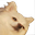 tlrStaffIsLurking Discord emoji