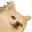 tlrStaffIsLurking