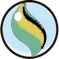 rayquazite