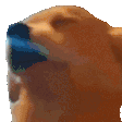 dogjam animated GIF emoji - ⸂𝕷⸃ LUST
