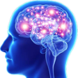 brain Discord sticker from FriendZone | Make Friends ⋅ Fun Chill Active Chat ⋅ VC Social Gaming ⋅ Memes ⋅ Nitro Emojis ⋅ Anime