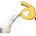 r_Shush
