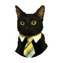 Y_BuisnessCat Discord Emoji