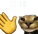 chao