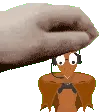 ptero_pet ptero_pet