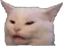 cat custom emote | FriendZone | Make Friends ⋅ Fun Chill Active Chat ⋅ VC Social Gaming ⋅ Memes ⋅ Nitro Emojis ⋅ Anime
