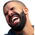 drake custom emote from FriendZone | Make Friends ⋅ Fun Chill Active Chat ⋅ VC Social Gaming ⋅ Memes ⋅ Nitro Emojis ⋅ Anime